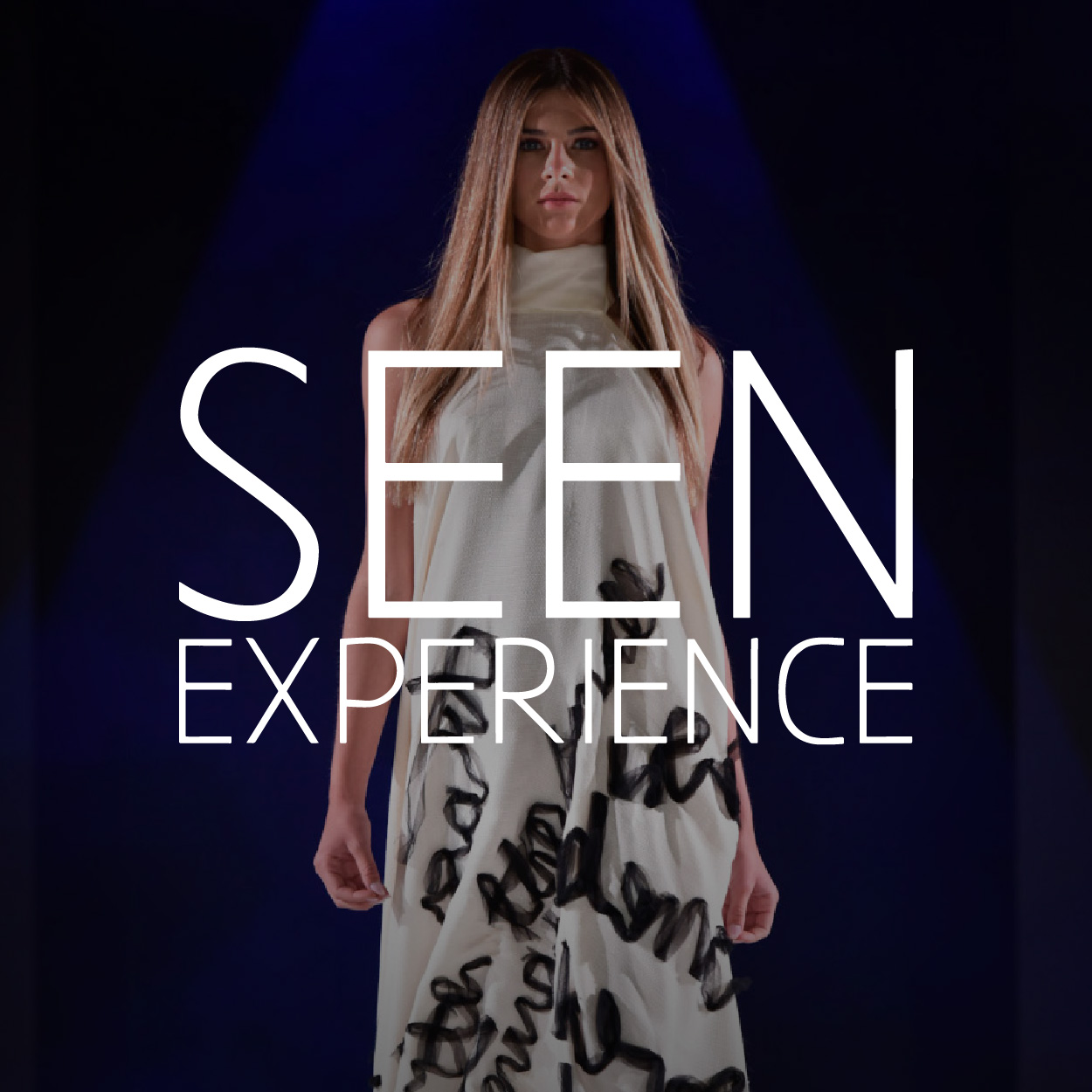 Seen Experience