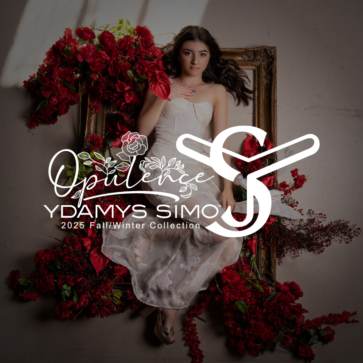 Ydamys Simo